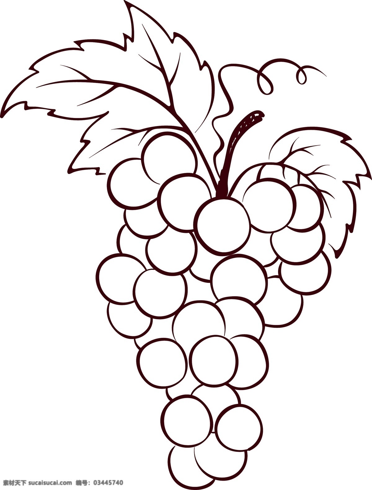 红酒 葡萄酒 串 葡萄 矢量图 手绘 一串葡萄 平面设计素材