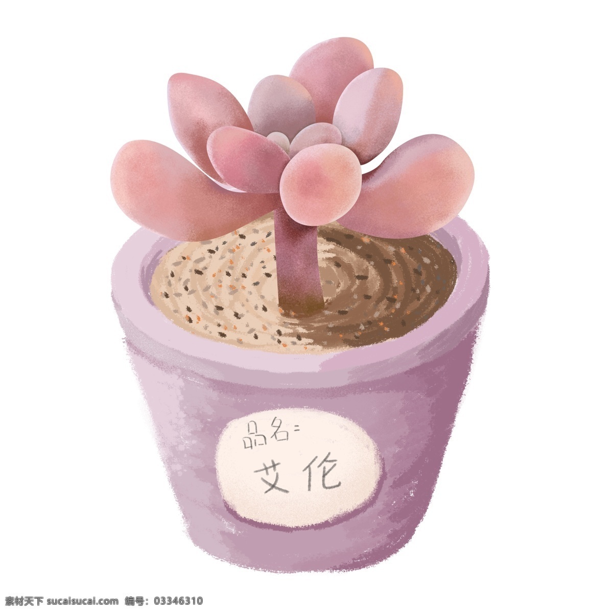 手绘 小 清新 紫色 盆栽 肉 植物 元素 插画 手绘植物 手绘盆栽 多肉植物 植物元素 多肉元素 手绘多肉植物