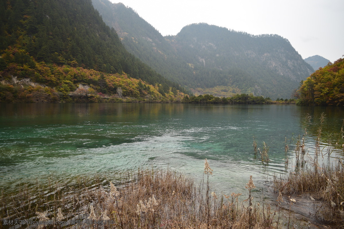 四川九寨沟 九寨沟 九寨沟风光 山水 山水风光 九寨沟风景 秋天的九寨沟 九寨沟景色 九寨沟瀑布 溪水 芳草海 九寨沟芳草海 九寨沟山水 长海 九寨沟旅游 自然风光 雪山 九寨沟雪山 沃洛色莫 雪山的水 四川风景 四川景点 自然景观 风景名胜