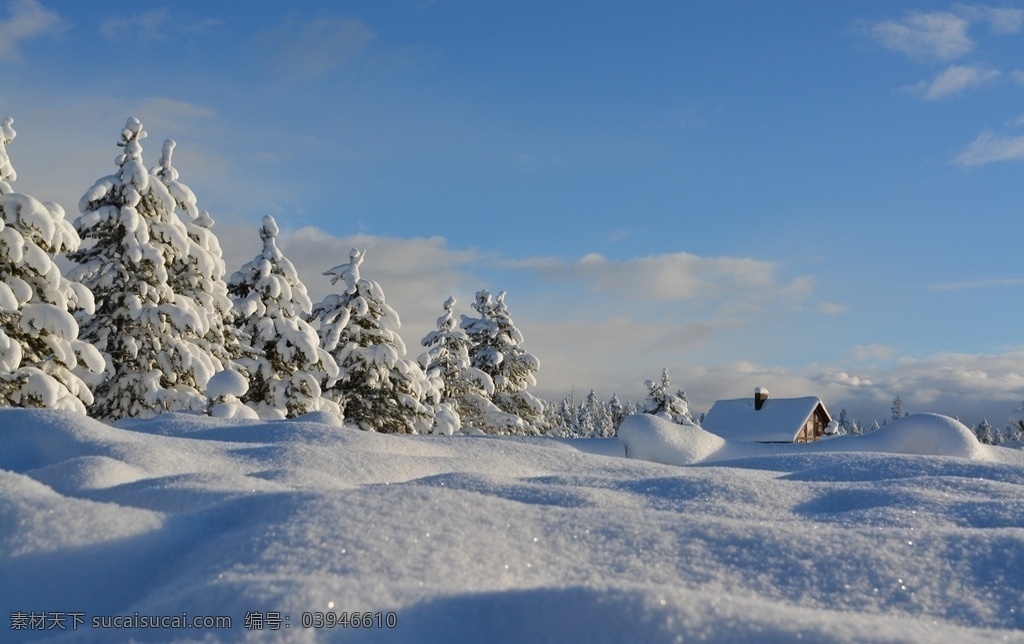 冬日里的雪景 雪景 冬日 树木 白雪 鸡血 天空 蓝天 多娇江山 自然景观 自然风景