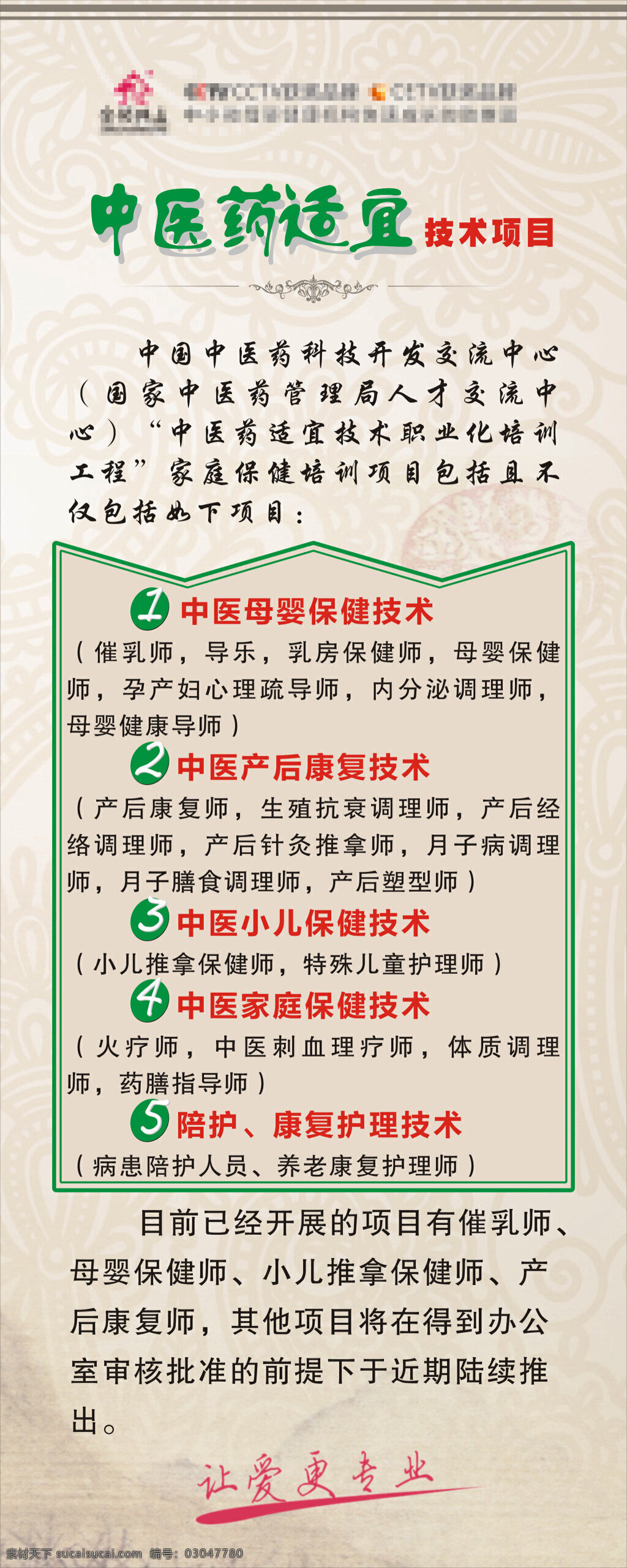 中医药 适宜 技术项目 展架 易拉宝 中医药海报 母婴保健技术 产后康复技术 白色