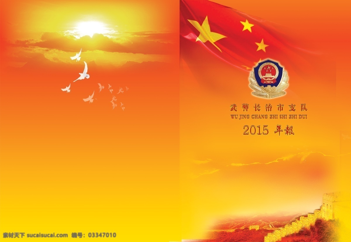 2015 年报 封面 年度 年度封面 报告书封面 蓝色封面 云南封面 药监局封面 画册设计 矢量 橙色
