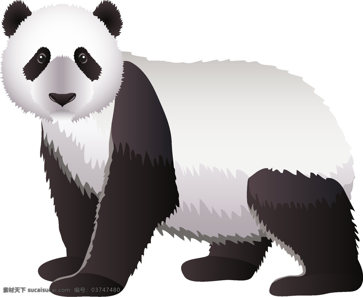动物熊猫元素 卡通 可爱熊猫 元素