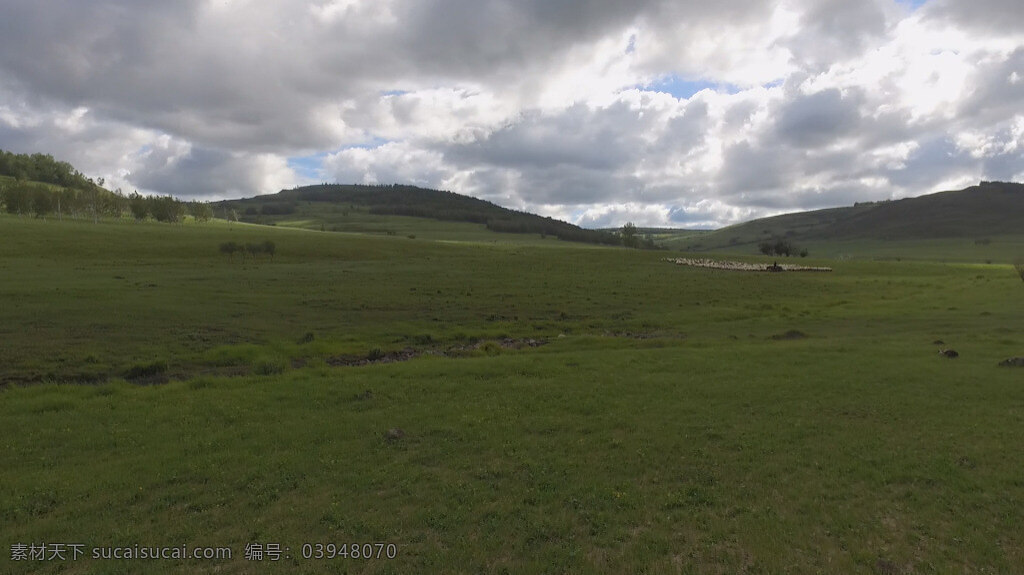 草原 羊群 视频 实拍 风光 风景 高清 航拍草原 自然