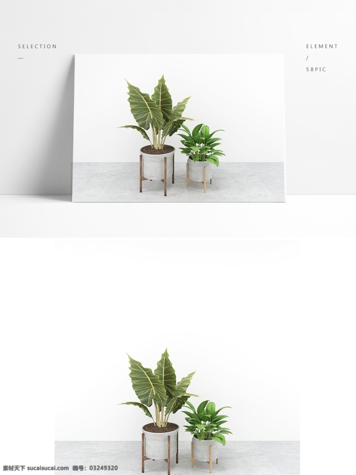 通用 室内 盆栽 模型 3d 简约 盆栽模型