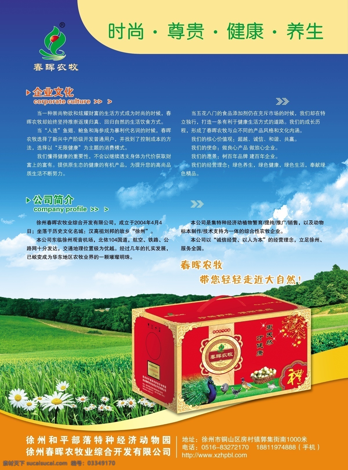 标本 草地 蓝天 绿色 宣传单 野 鸡蛋 农牧 矢量 模板下载 野鸡蛋 家禽单页 广告宣传彩页 海报 宣传海报 彩页 dm