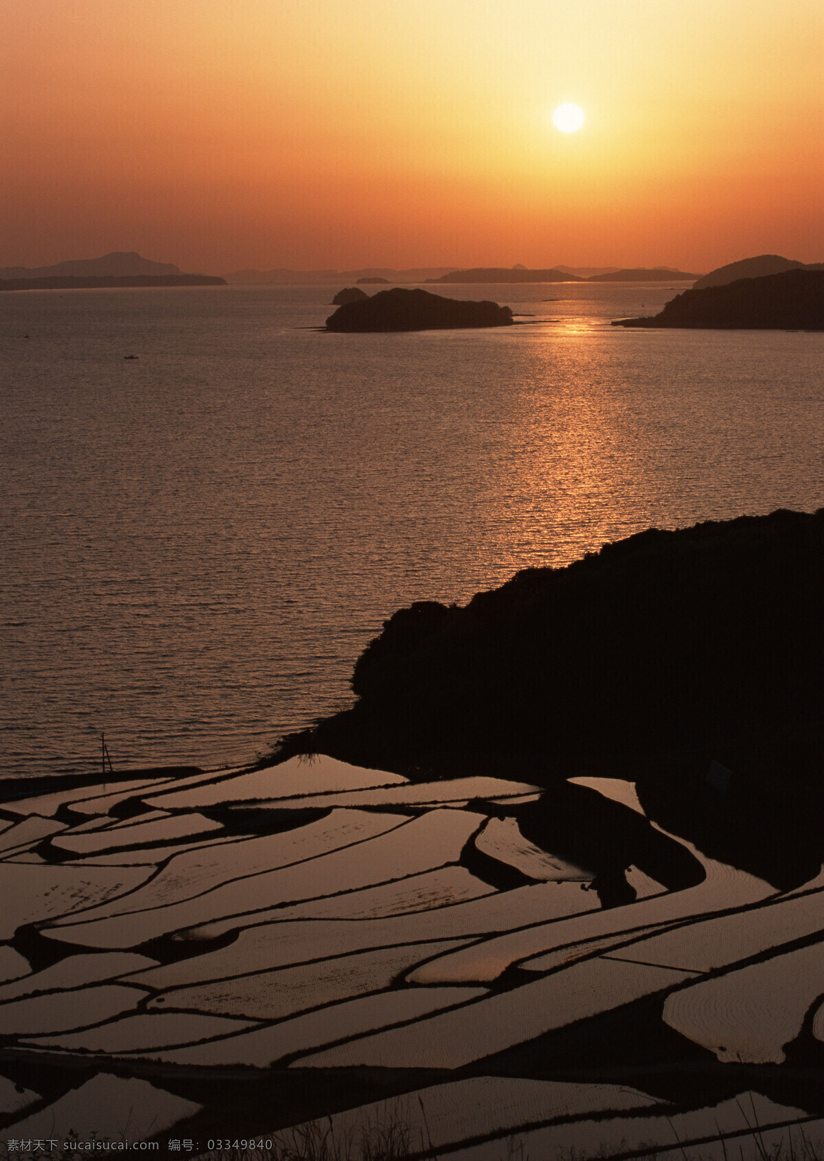 夕阳下的梯田