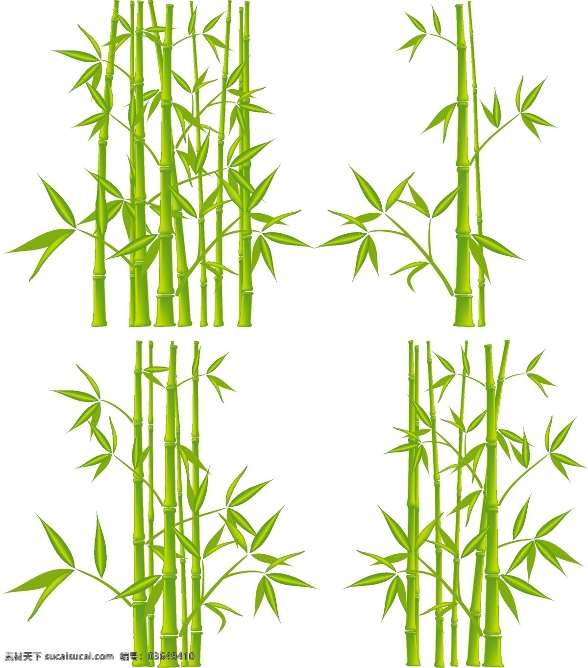 竹子 绿竹 毛竹 植物 修竹 竹叶 矢量竹子 矢量窗贴 窗贴 绿色植物 绿叶 树木树叶 生物世界
