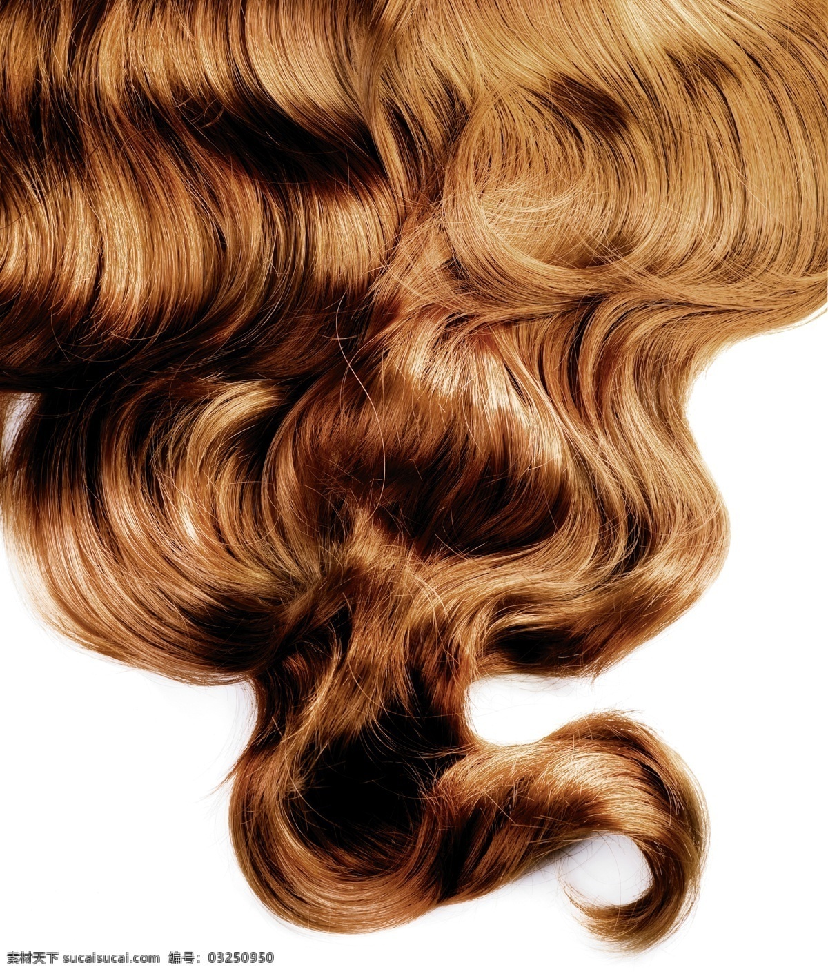 棕色 卷发 棕色卷发摄影 头发 发丝 头发纹理 柔顺的头发 女性头发 头发背景 背景底纹 人体器官图 人物图片