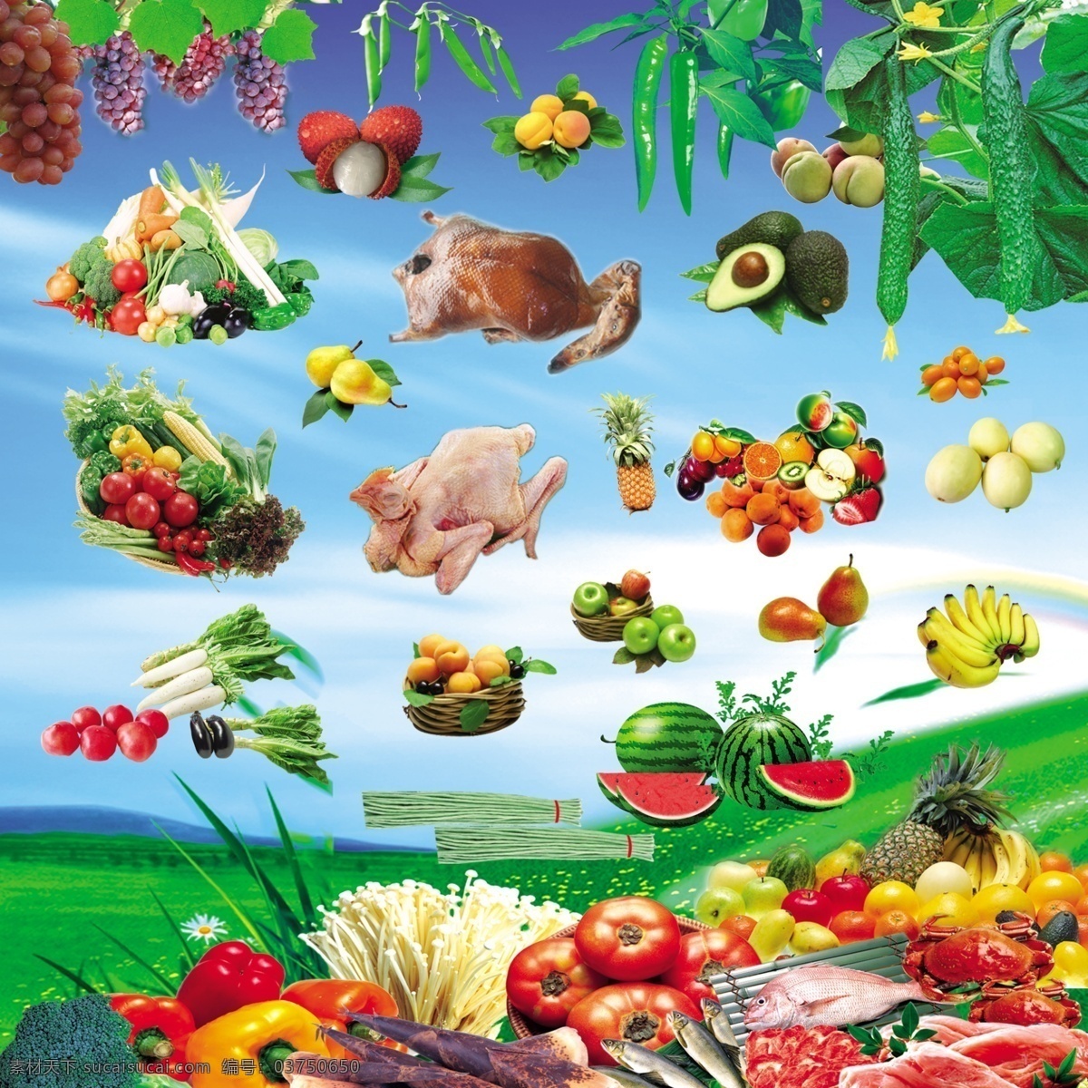 蔬菜 水果素材 水果 背景 蓝天 草地 葡萄 西红柿 西瓜 名片 名片设计 广告设计模板 源文件