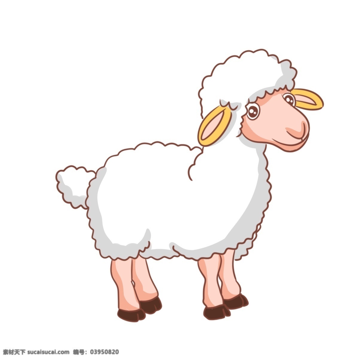白色 小羊 手绘 插画 可爱的小羊 小羊装饰 小羊插画 家禽小羊 白色的小羊 漂亮的小羊 黄色的耳朵