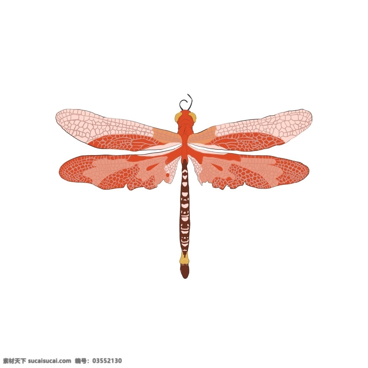 手绘蜻蜓 手绘 插画 蜻蜓 昆虫 翅膀 卡通设计