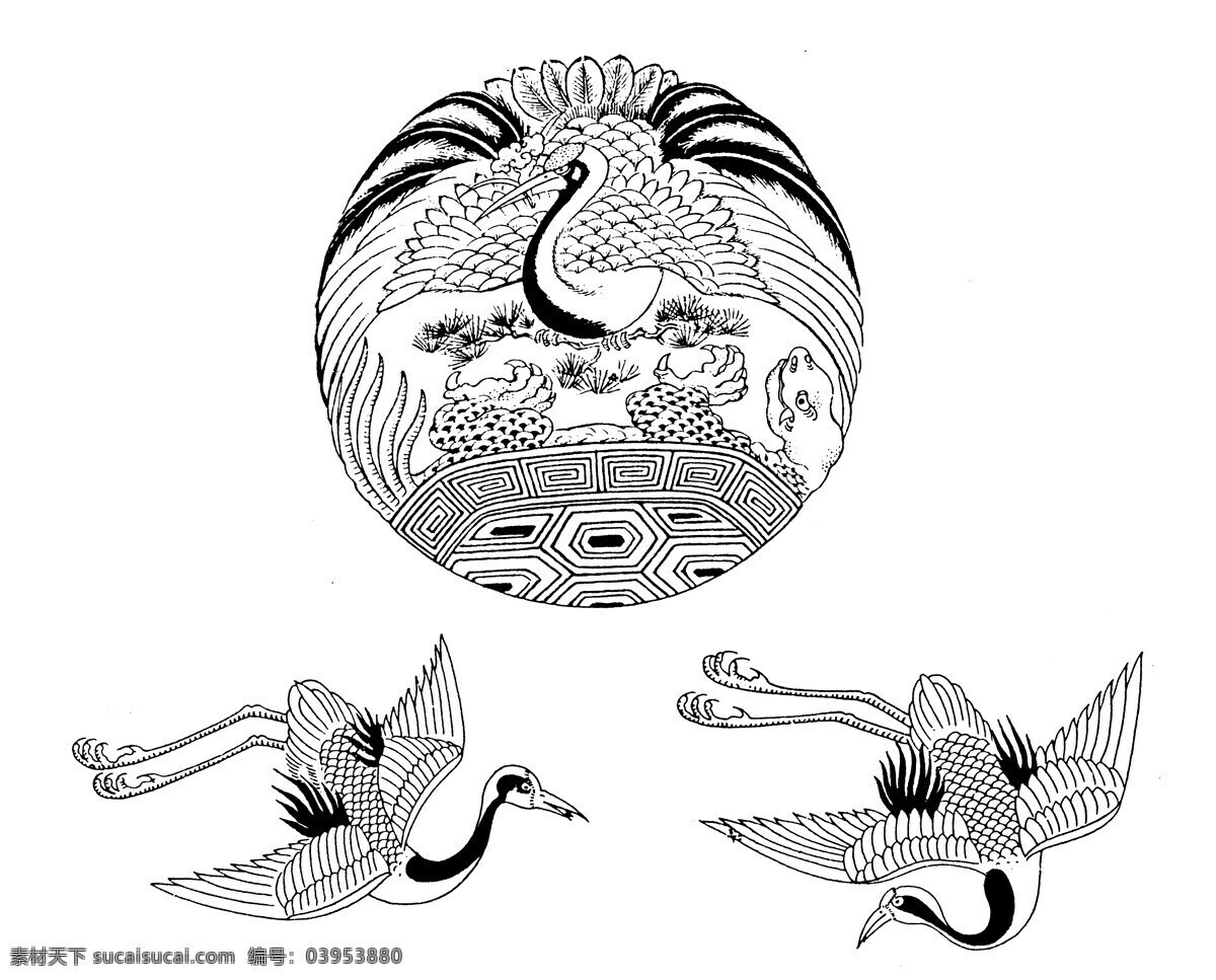 仙鹤 龟 长寿 传统文化 节日 喜庆 吉祥 绘画书法 文化艺术
