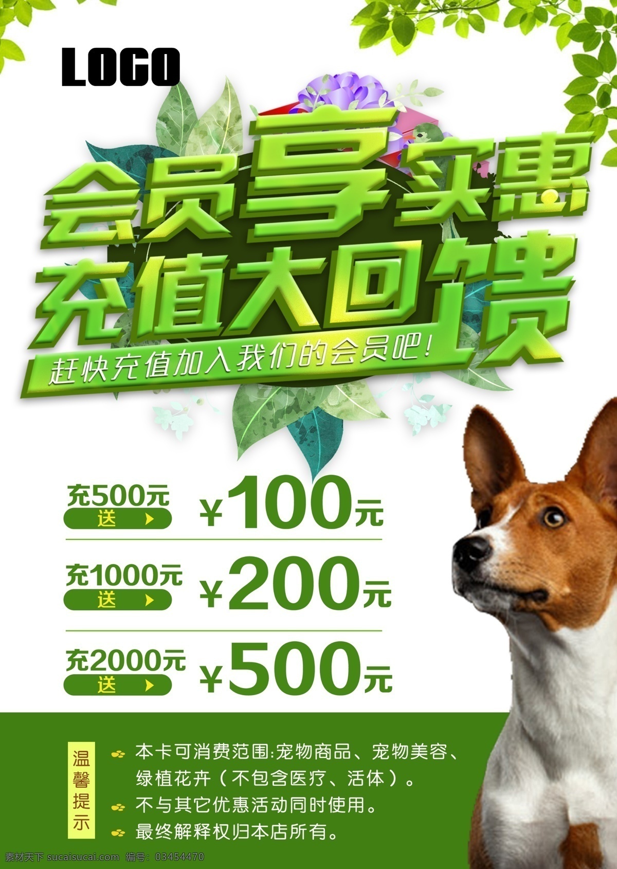 会员 享 实惠 宠物医院 海报 宣传海报 会员充值 宠物店 宠物美容