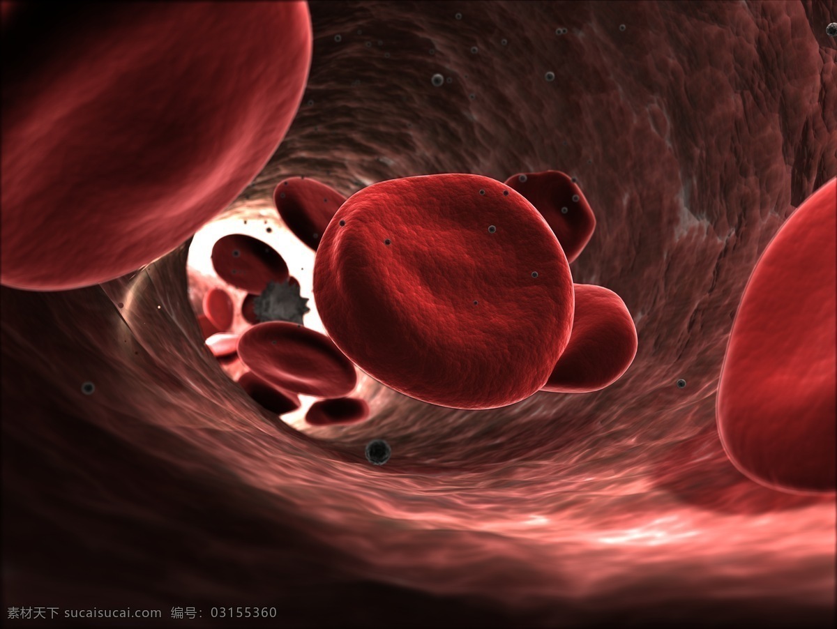 动脉 血红细胞 血管 3d 医学研究 血液 科学 显微状态 现代科技 医疗护理
