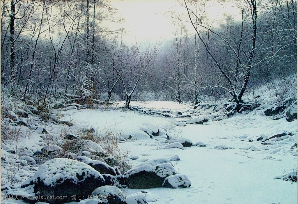 薄暮余光 陶世虎 水彩画 写实 雪景 树木 冬天 中国画 松树 石头 绘画书法 文化艺术