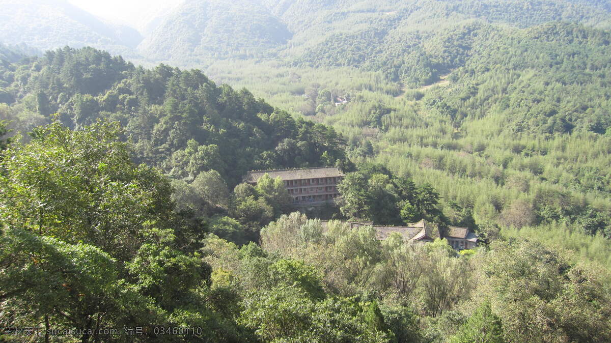 林地 树林 森林 航拍 航拍树林 航拍森林 山下 大山 大山里 林海 大森林 阳光 麦积山 俯瞰森林 林场 景区 天水旅游 树木 旅游摄影 国内旅游