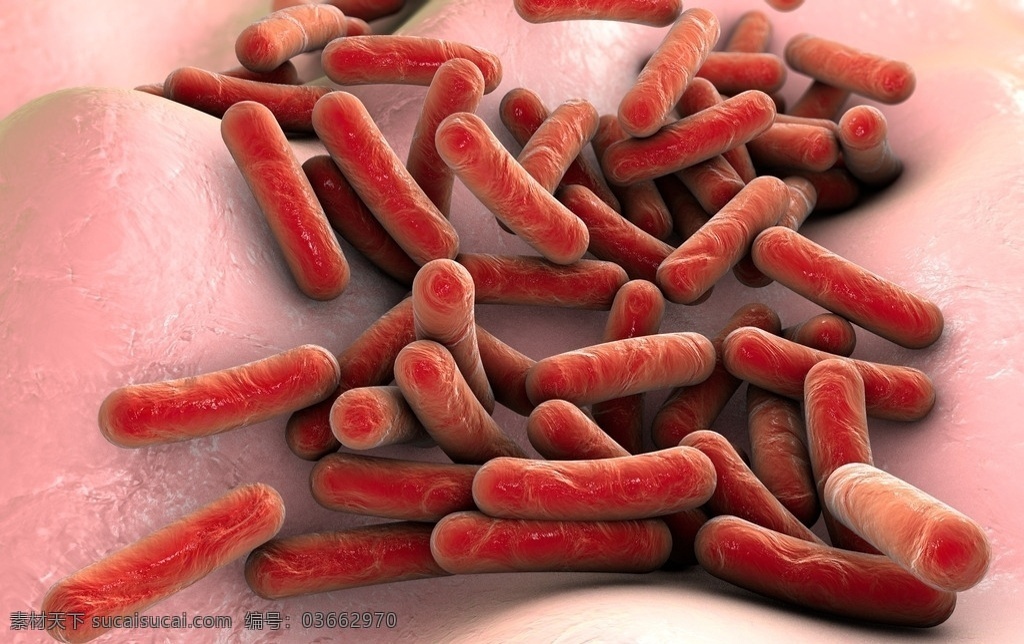 细菌 医疗 病毒 微生物 健康 医学 科学 血清 葡萄球菌 链球菌 细胞生物学 感染 显微镜 生病 病 疫情 微观 疾病 战斗 攻击 特写镜头 三维 脓毒 发热 病理学 大肠杆菌 克雷伯氏菌 军团菌 结核分枝杆菌 小肠 沙门氏菌 志贺氏杆菌 鼠疫 禽流感 流感 现代科技 医疗护理
