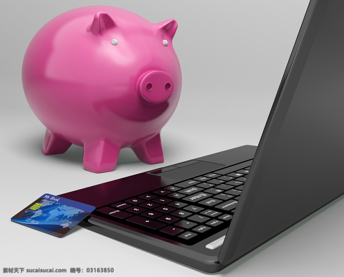 小 猪 计算机 显示 投资 增长 银行 商务金融