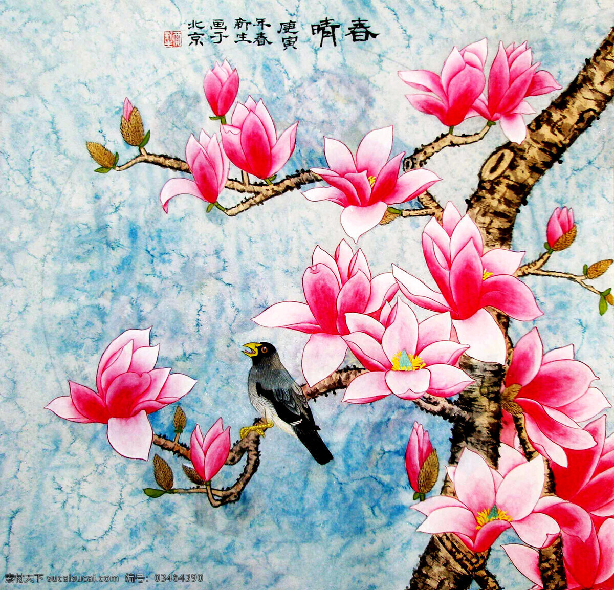 彩墨画 国画艺术 花卉 绘画 绘画书法 美术 鸟 春晴设计素材 春晴模板下载 春晴 中国画 工笔重彩画 玉兰花 玉兰画 盛放 书法 印章 国画集41 文化艺术 装饰素材 雕刻 图案