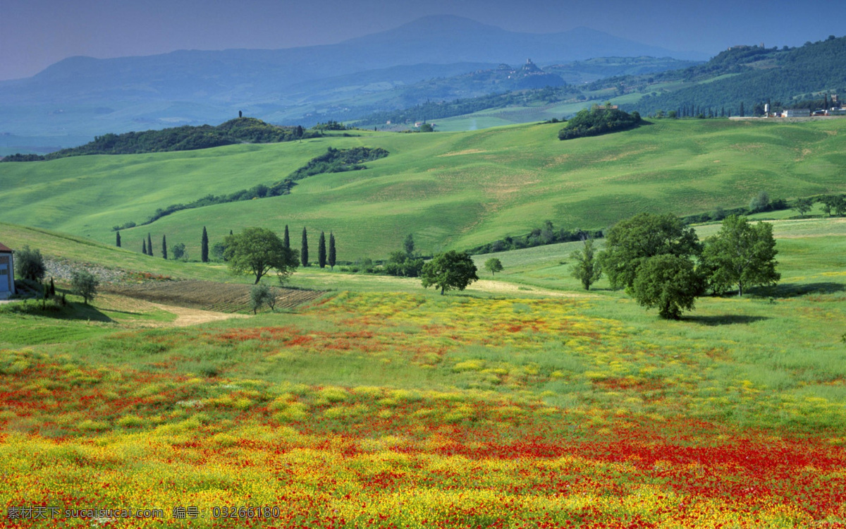 意大利风景 远山景 野花 草地 绿树 山路 国外风景 国外旅游 旅游摄影