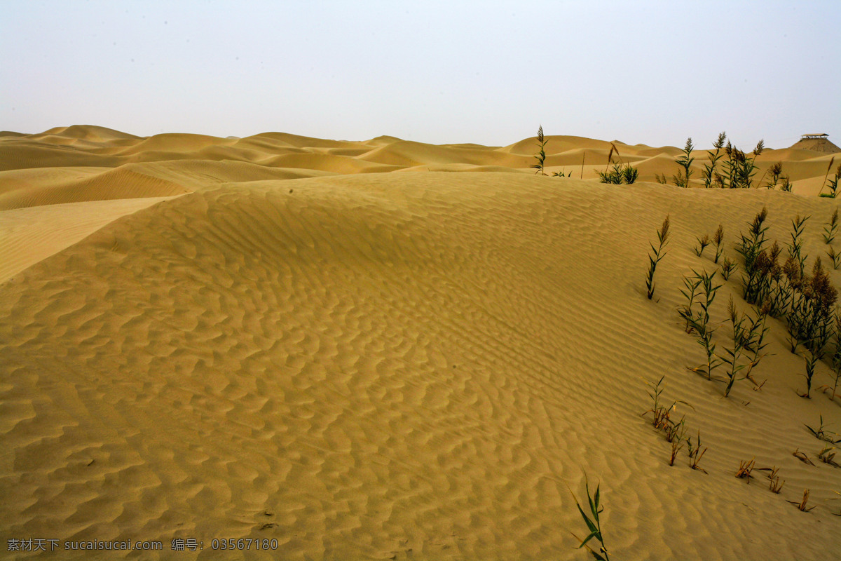 达瓦昆沙漠 新疆 达瓦昆 维吾尔族 民族风情 旅游风景区 沙漠风景 沙漠风光 大漠风光 蓝天 自助游 国内旅游 旅游摄影