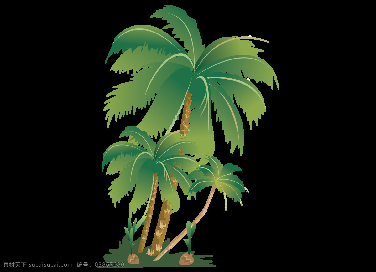 卡通 椰子树 元素 植物 绿色 沙滩 透明元素 夏天 png元素 免抠元素