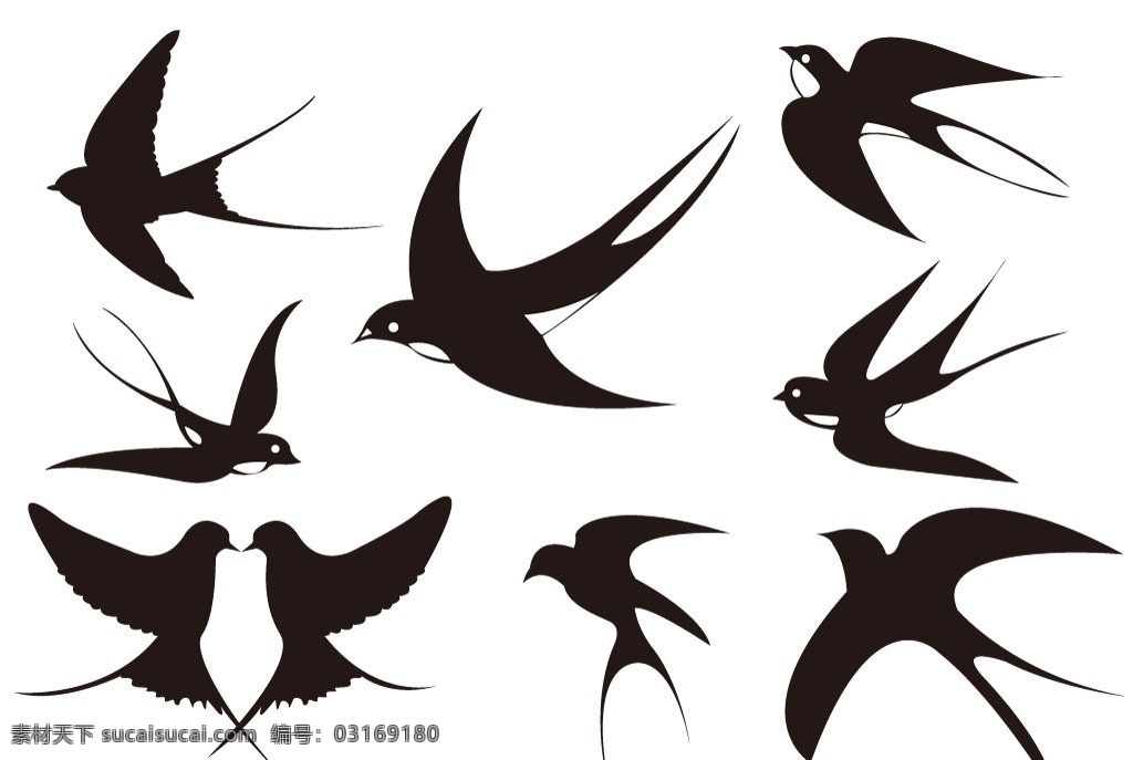 燕子 燕 家燕 鸟 小鸟 鸟类 野生动物 飞行动物 飞禽 春天 春天到了 南方 飞翔 飞行 生物世界 矢量
