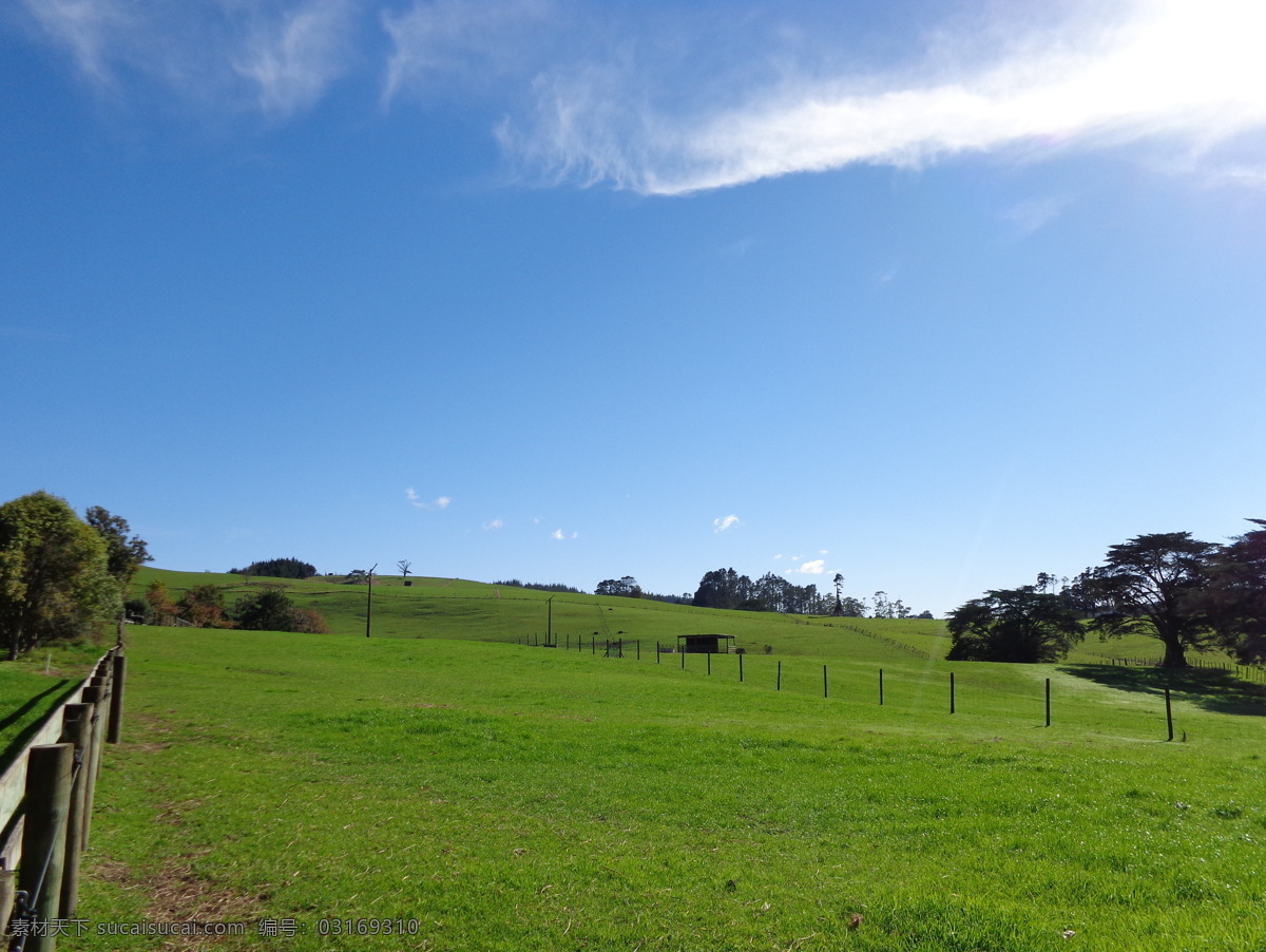 新西兰牧场 蓝天 白云 山坡 绿树 绿地 草地 围栏 牧场 自然景观 自然风景