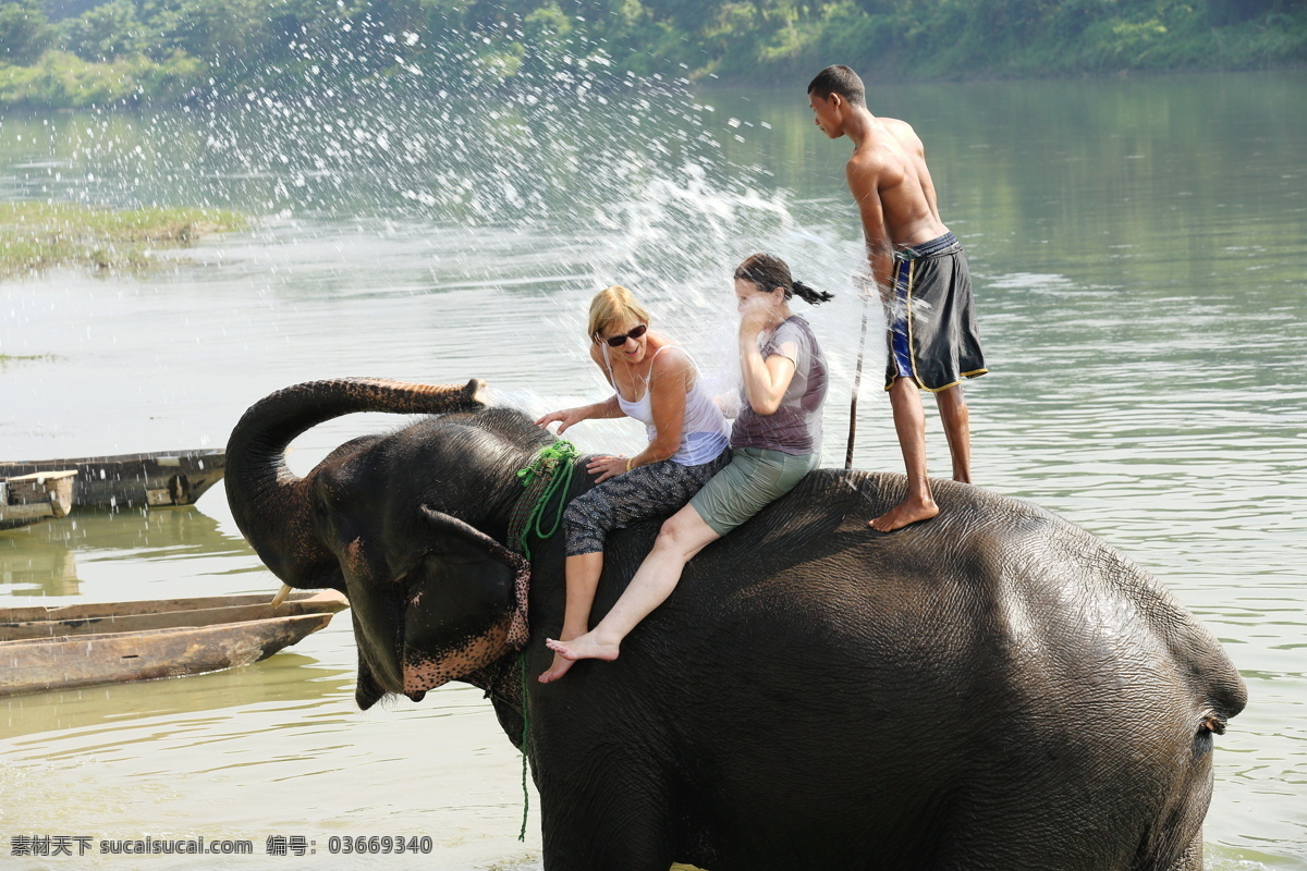 骑大象的游客 大象 大象摄影 动物摄影 动物世界 陆地动物 生物世界 黑色