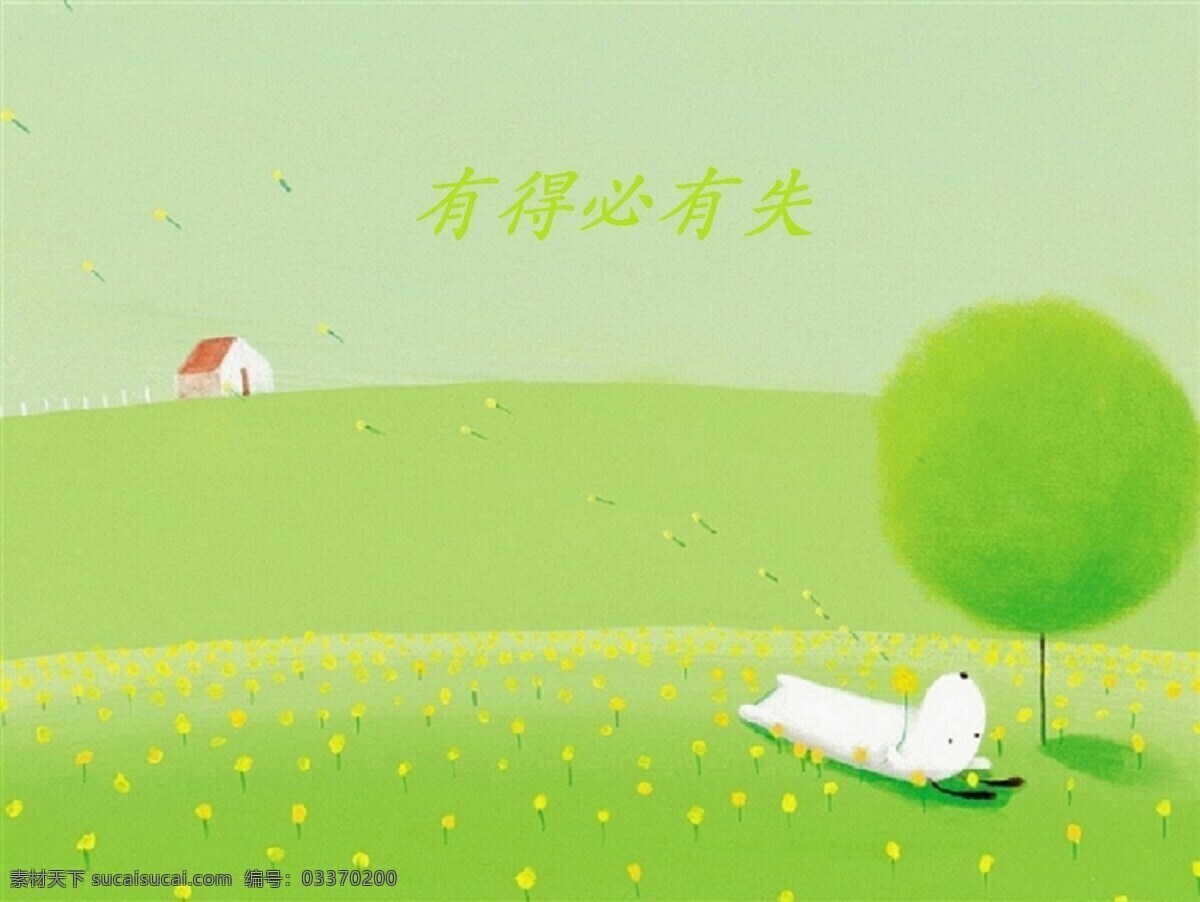 草地 背景 绿色