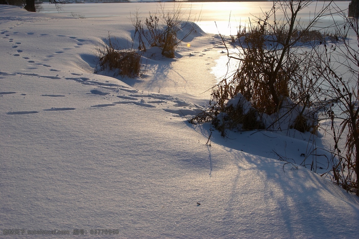 冬季雪景摄影 冬天雪景 冬季 美丽风景 美丽雪景 白雪 积雪 风景摄影 树木 雪地 自然风景 自然景观 灰色