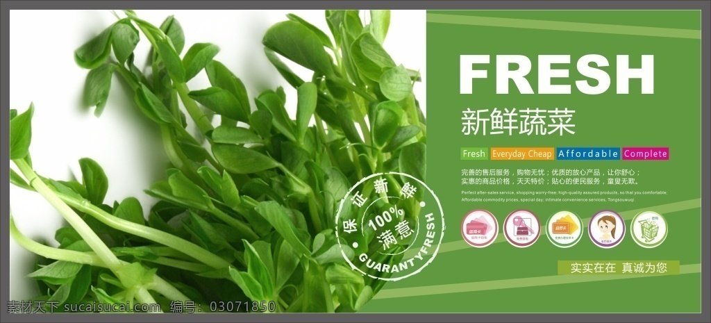 超市 蔬菜 广告 展板 蔬菜广告 豆芽 绿色 新鲜蔬菜 实实在在 真诚为你
