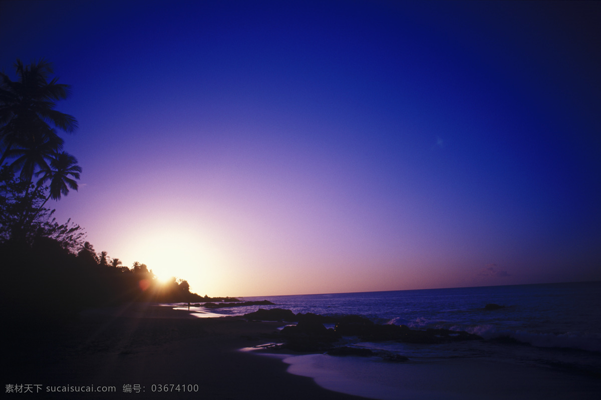 海边 落日 黄昏 景象 树丛 大海 漂亮 美景 风景 海岸 岸边 加勒比海岸 高清图片 大海图片 风景图片