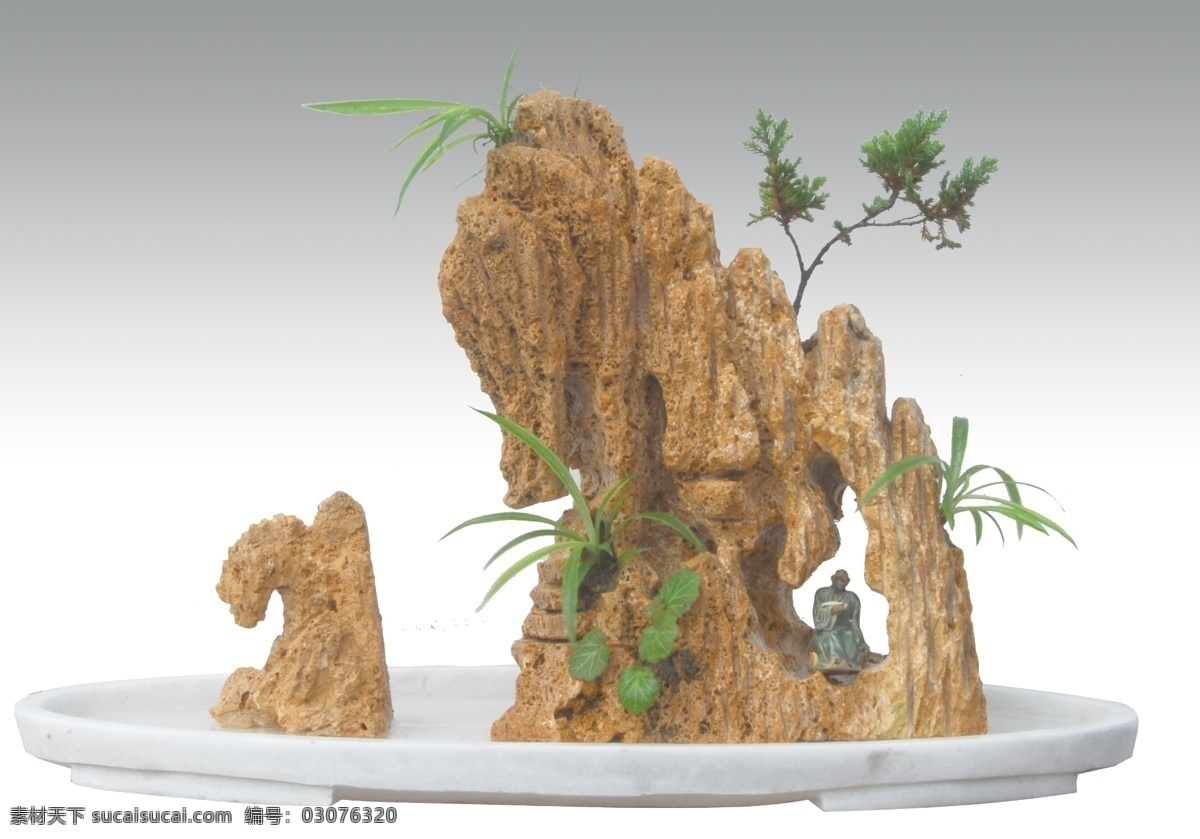 盆景免费下载 环境设计 盆景 盆景素材 园林设计 源文件 上水 石 模板下载 上水石 家居装饰素材