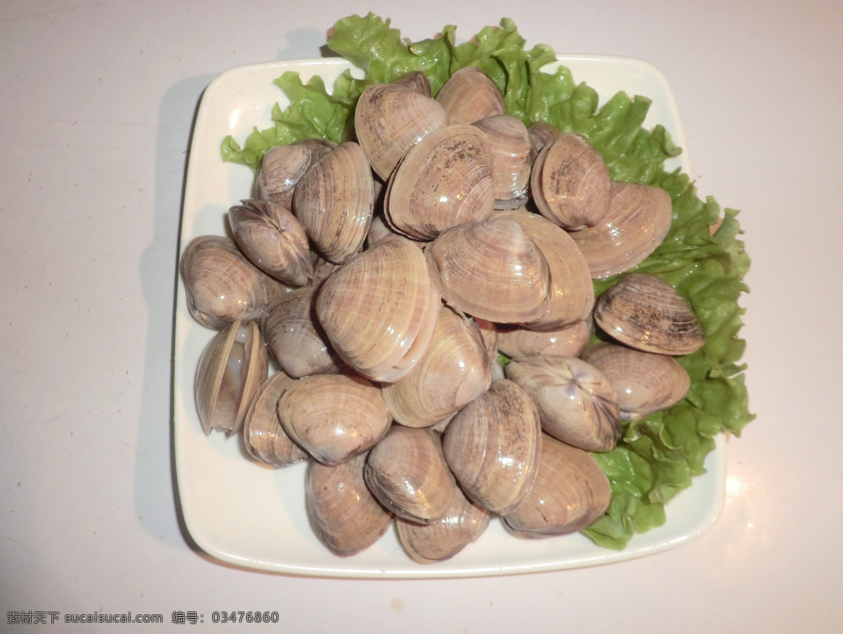 丹东黄蚬子 美味 健康 烧烤 海鲜 传统美食 餐饮美食