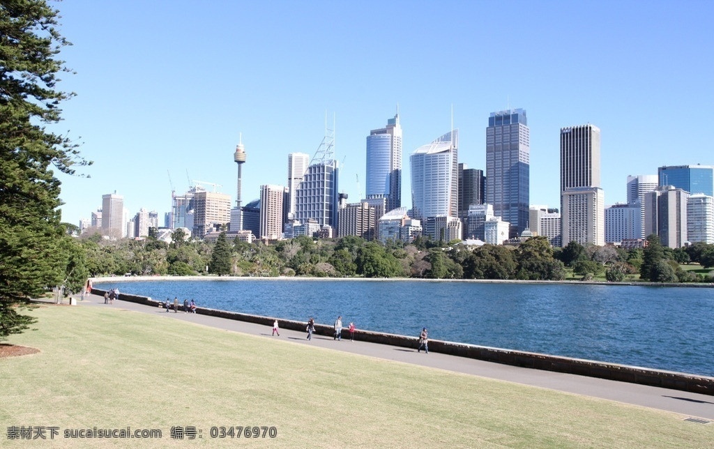 悉尼市景 悉尼 悉尼全景 都市全景 城市全景 高楼大厦 高楼建筑 大海 海 草地 大树 森林 澳大利亚 国外旅游 旅游摄影