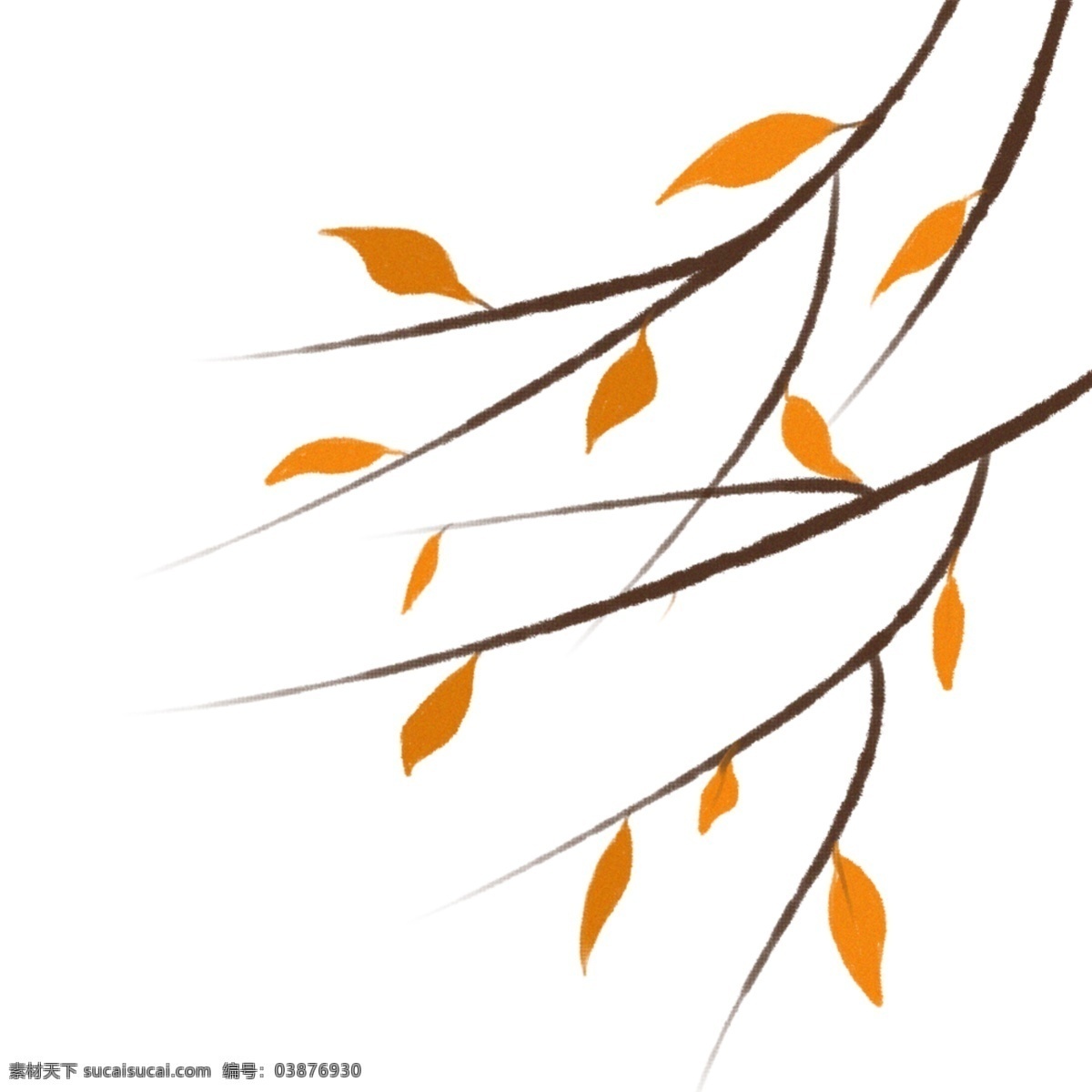 秋天 落叶 树叶 树枝 元素 装饰