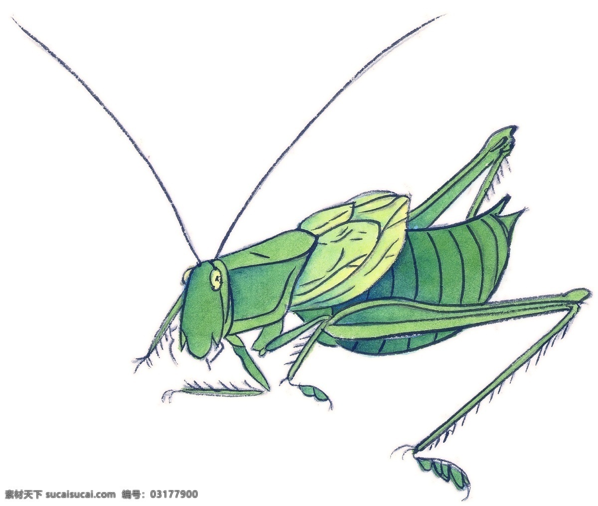 水墨 风格 蚂蚱 文化艺术 美术绘画 昆虫 设计图库