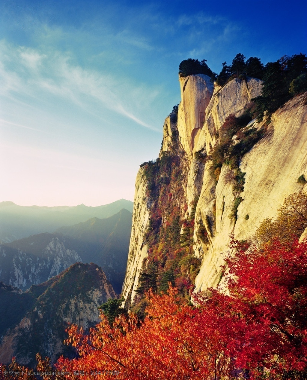 华山风景 蓝天 华山 枫叶 自然风景 旅游摄影