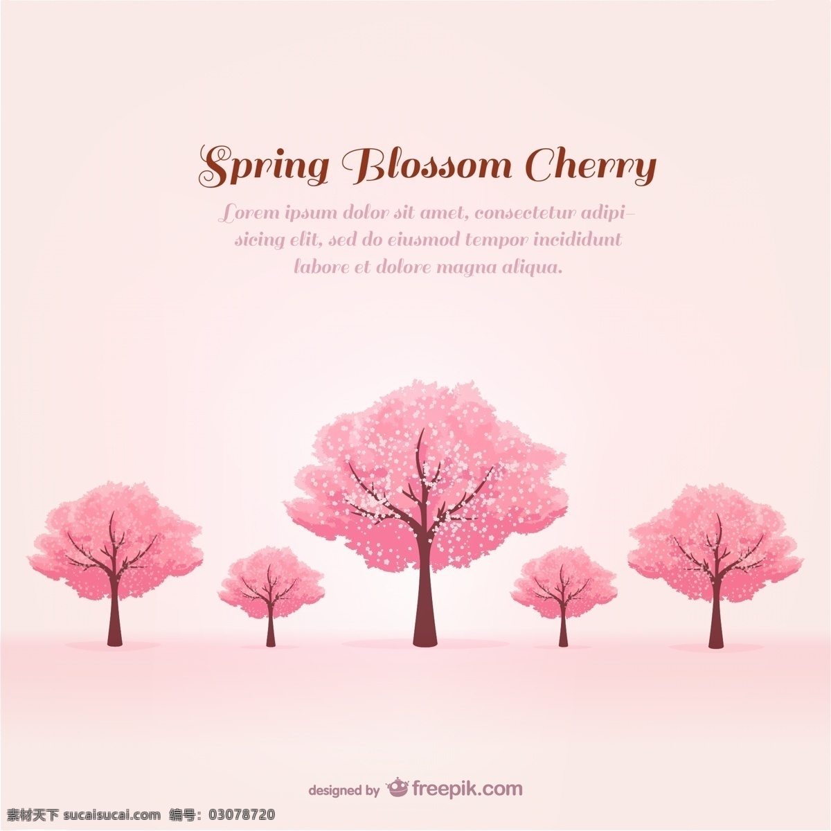 春季 粉色 樱花树 背景 矢量图 樱花 日常生活