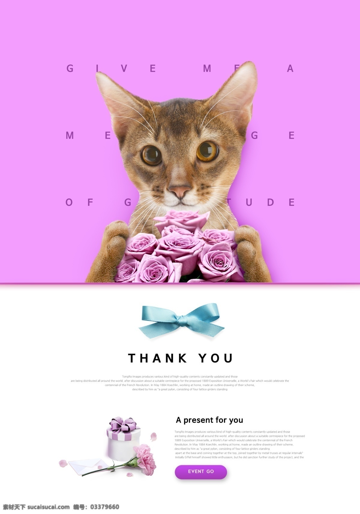 可爱 花朵 猫咪 宠物 海报 创意海报 创意 时尚 唯美 平面海报 国外素材 简约 动物 卡通 卡通宠物 宠物猫 可爱猫咪
