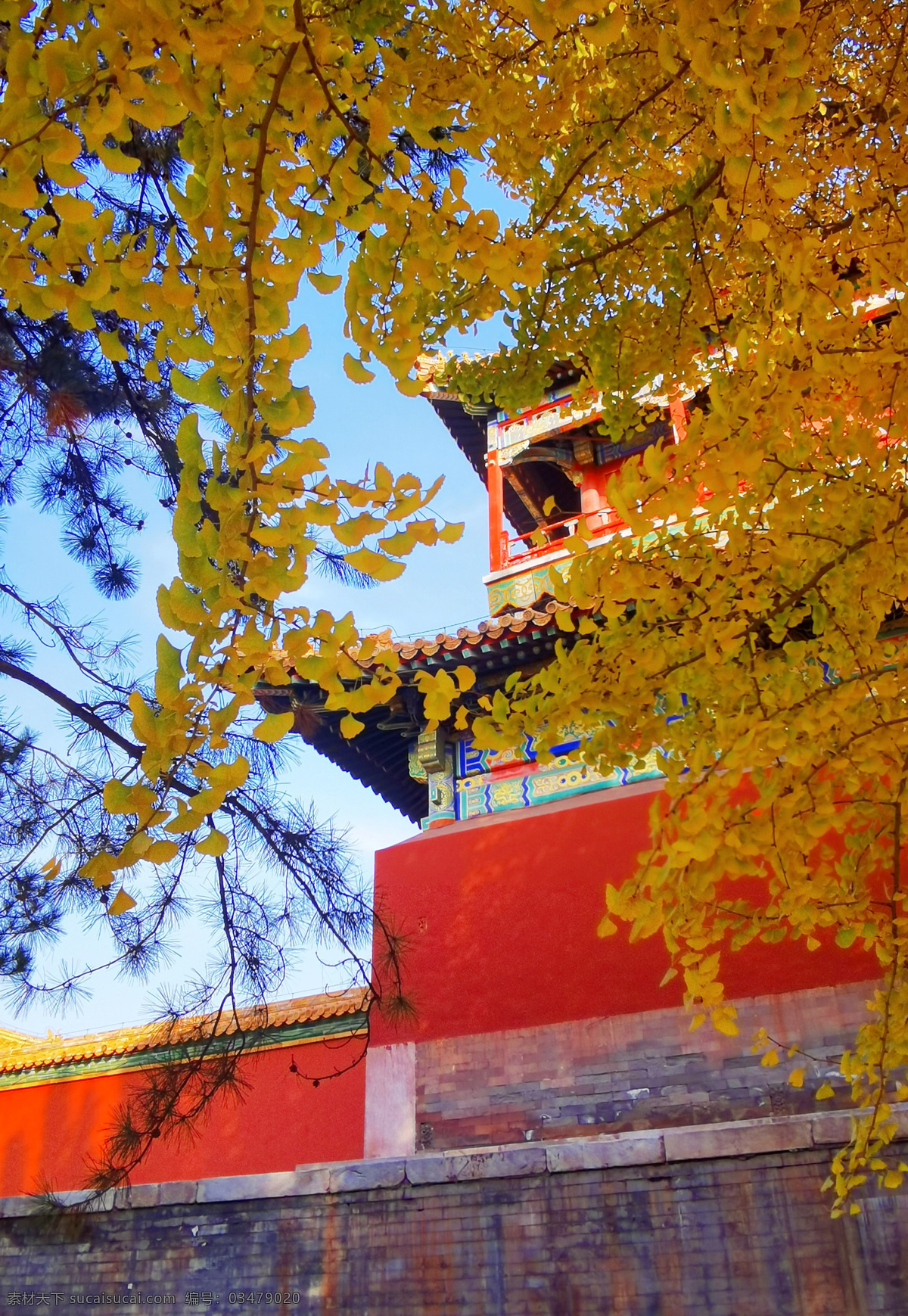 北京 紫禁城 故宫博物馆 银杏图片 故宫 博物馆 珍宝馆 钟表馆 景山公园 六百周年 故宫特展 丹辰永固 角楼 故宫文创 日落 枫叶 银杏 落叶 文物 文创 国风 宫墙 琉璃瓦 北平 秋天童话 公园 建筑 清朝 历史 人文 文化 文艺 自由行 日常 随拍 风光 自然 古建筑 记录 旅游摄影 国内旅游