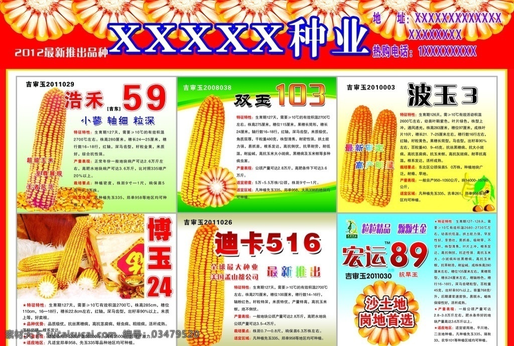 玉米 报纸 宣传单 红轴 白轴 玉米粒 玉米棒 玉米地 卡通小人 玉米人 卡通欲玉米人 一块钱硬币 背景图 背景 背景素材 玉米宣传单 玉米报纸 海报 玉米海报 分层 源文件 分层素材 分层玉米种子