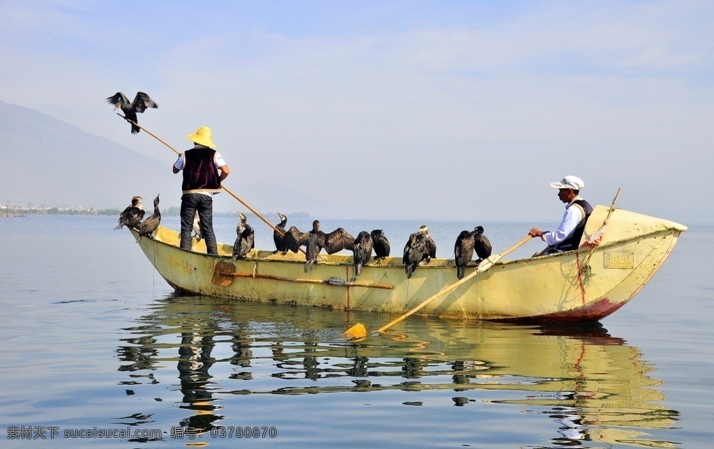 鱼鹰 渔船 湖泊 国内旅游 旅游摄影