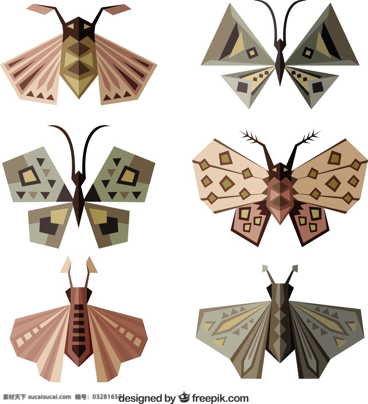 设置 多边形 蝴蝶 几何 自然 动物 飞行 灰色 棕色 昆虫 白色