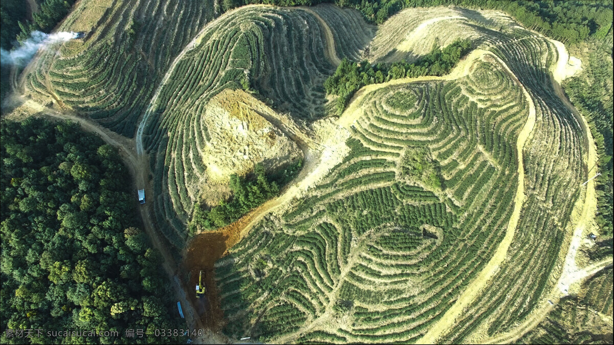 无人机航拍图 俯拍 茶山 茶园 高清图 精修图 自然景观 山水风景