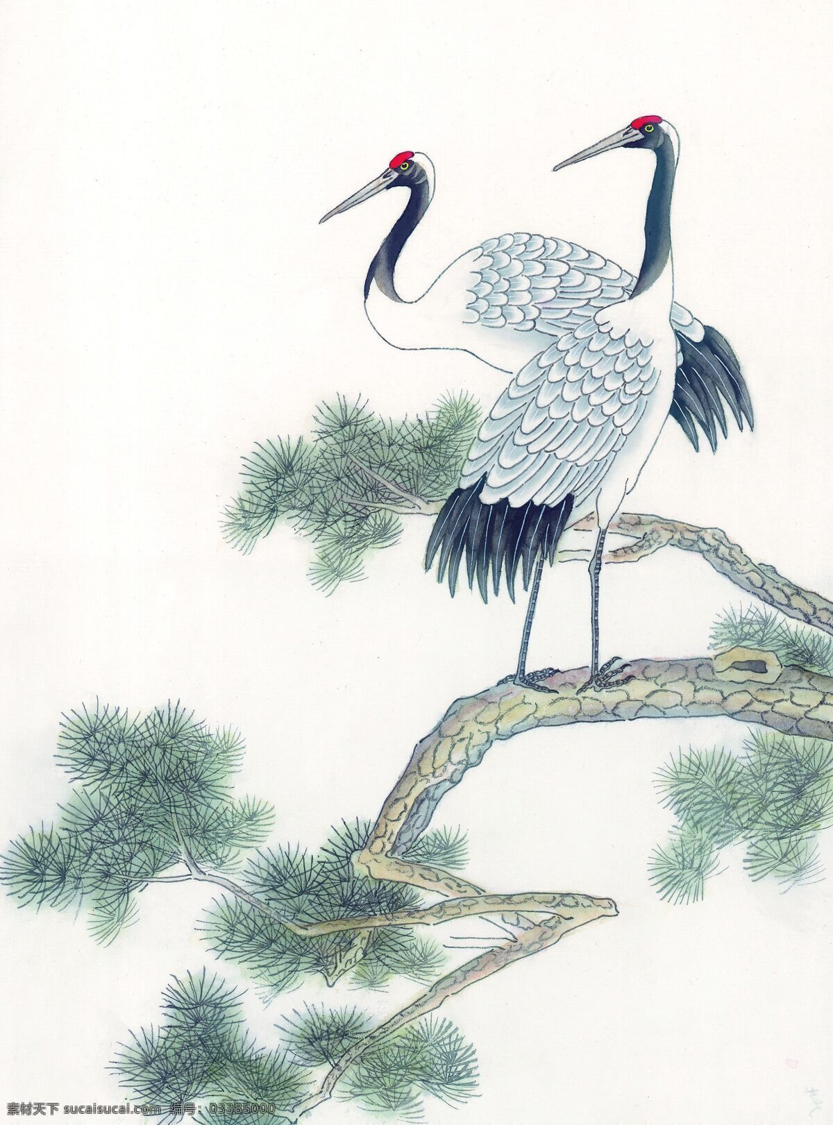 迎客松 白鹤 绘画 千顶鹤 国画 文化艺术 绘画书法