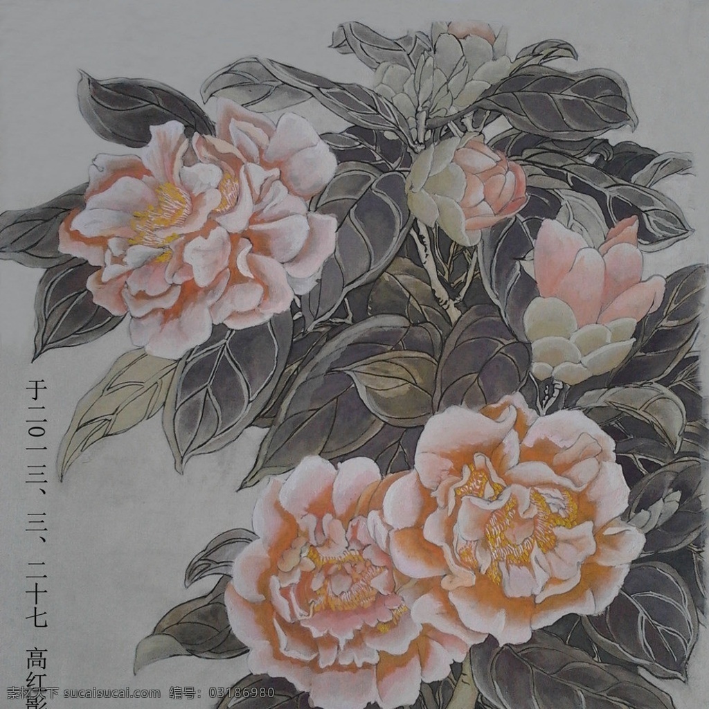 国画 茶花 山茶 手绘 花鸟类 工笔画 绘画书法 文化艺术