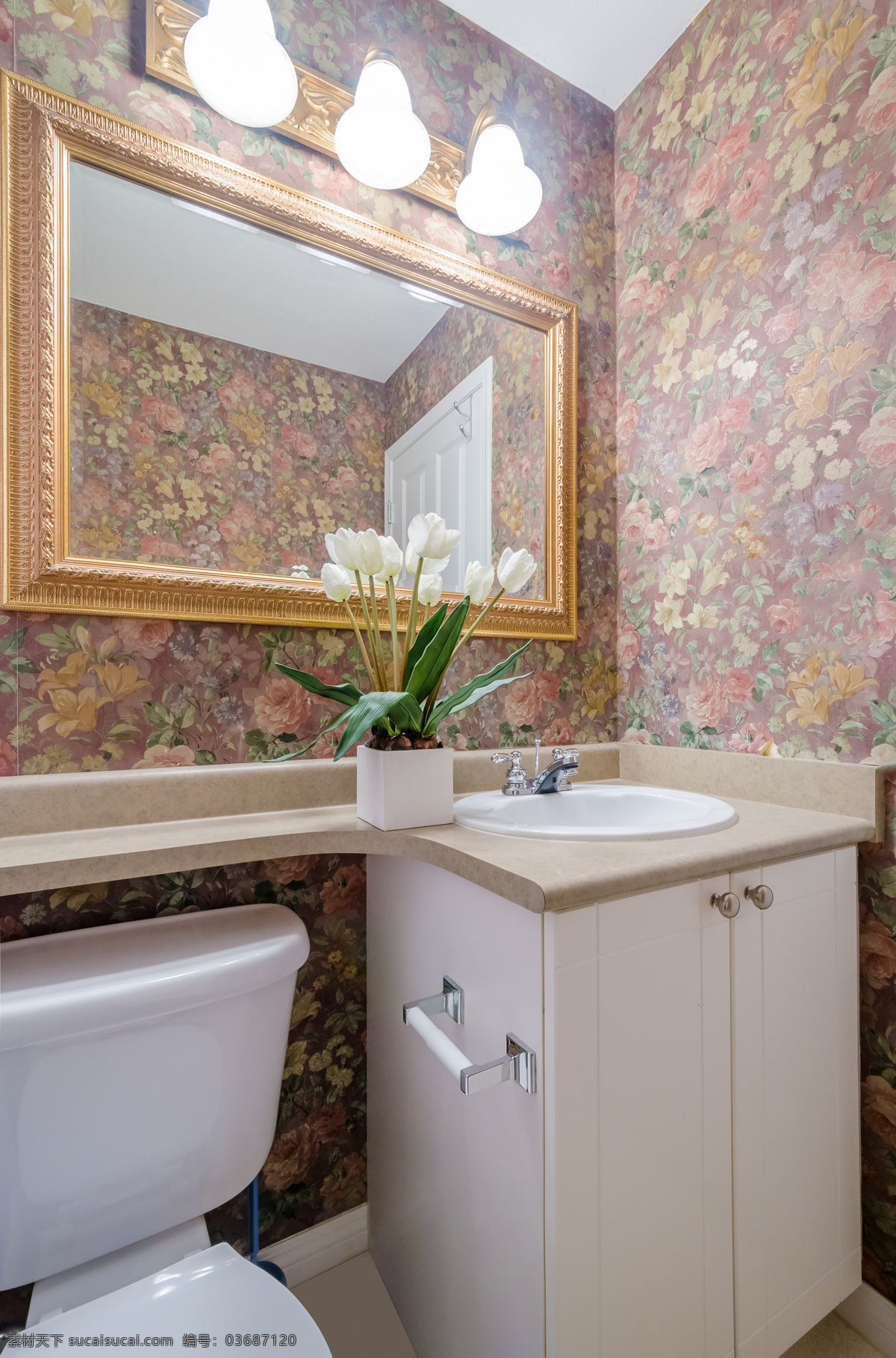 欧式 复古 卫生间 设计图 洗手间 效果图 装修图 室内设计 环境家居